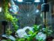 Energiesparen im Terrarium